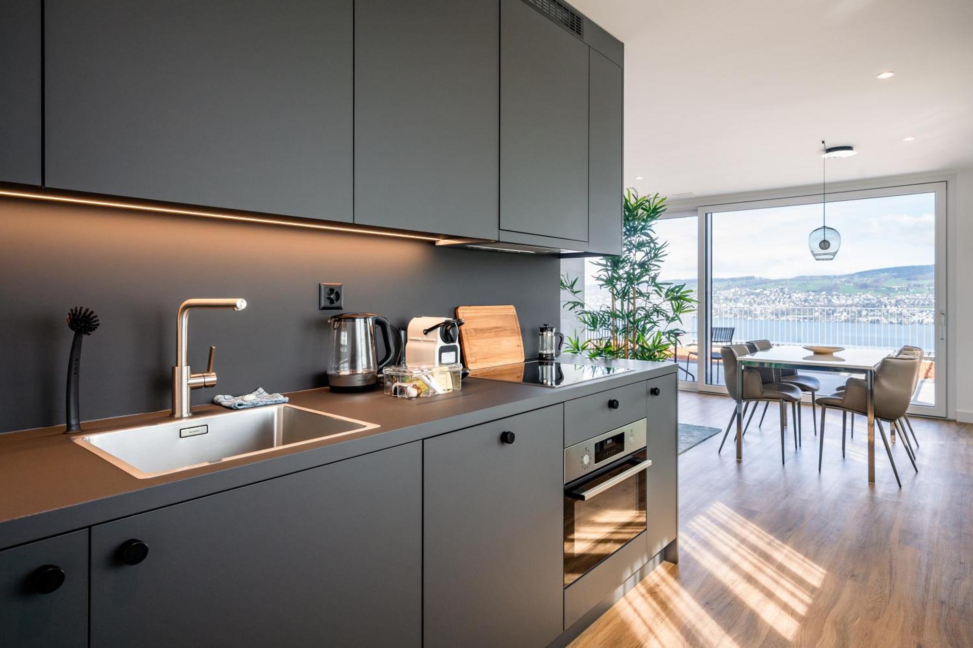Aestate Living Lakeview In Horgen Zuerich Zug Pfaeffikon Esterno foto